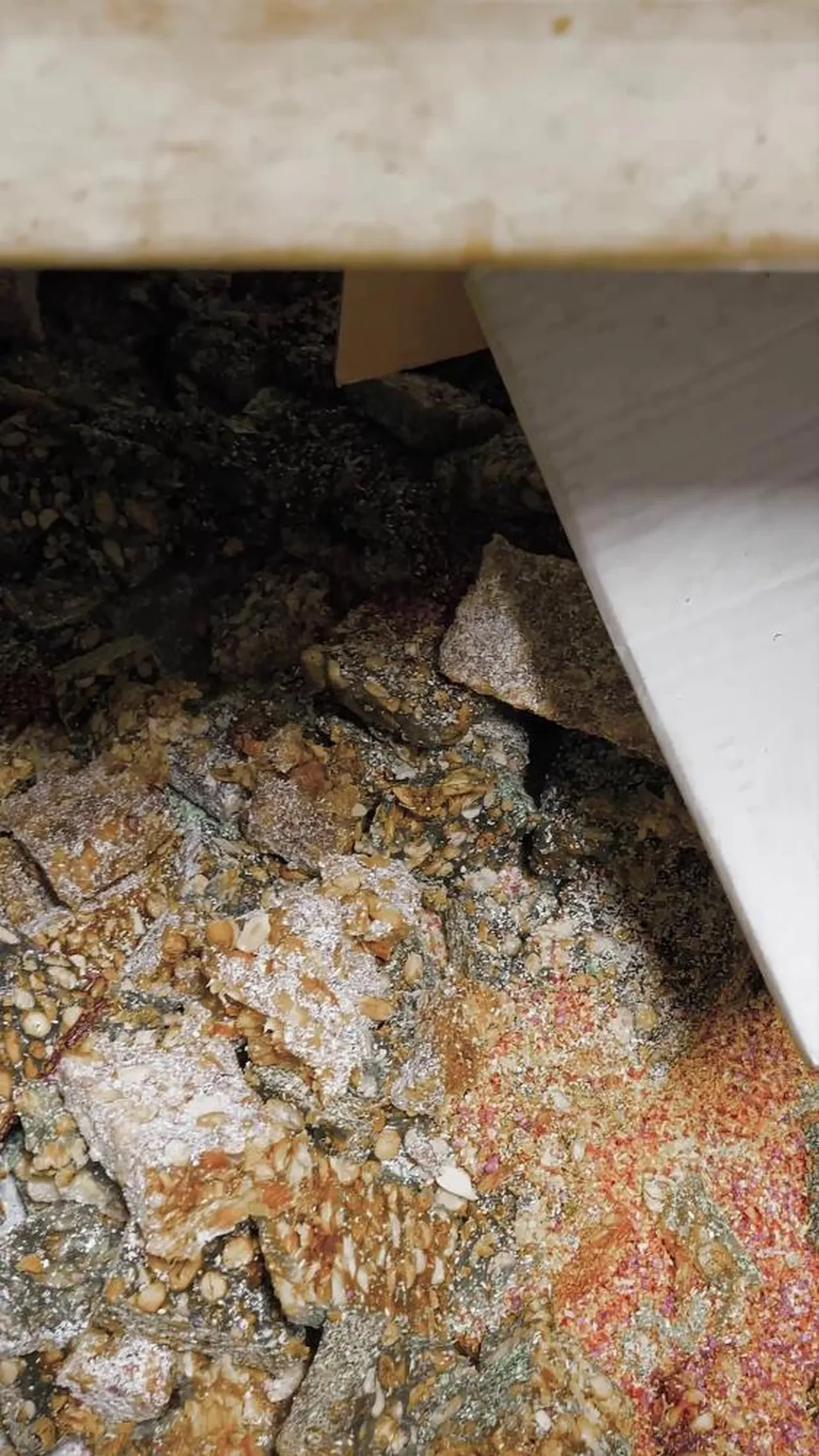 Tatlı üretiminden mide bulandıran görüntüler! Kötü koku her şeyi ortaya çıkardı