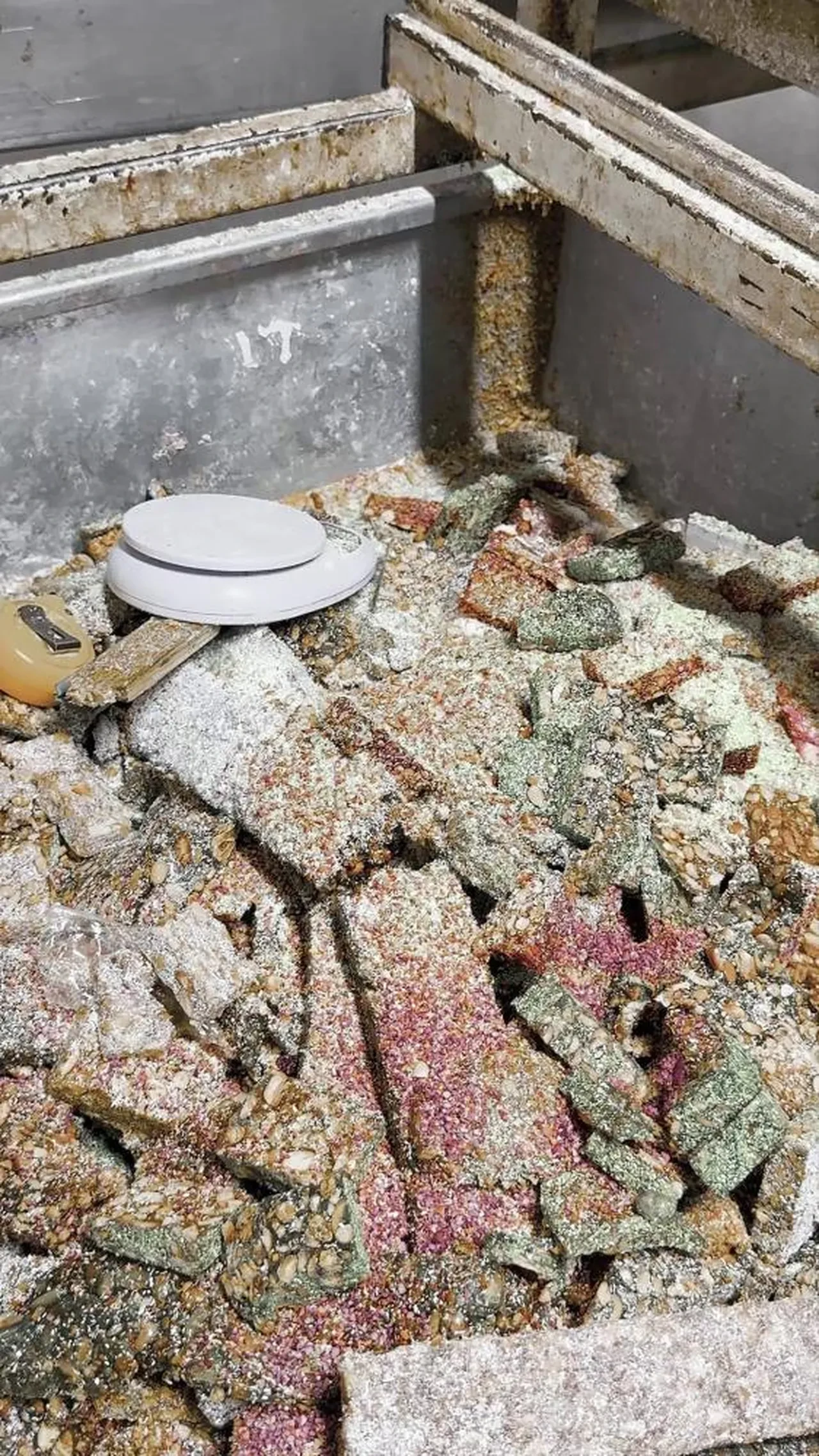 Tatlı üretiminden mide bulandıran görüntüler! Kötü koku her şeyi ortaya çıkardı