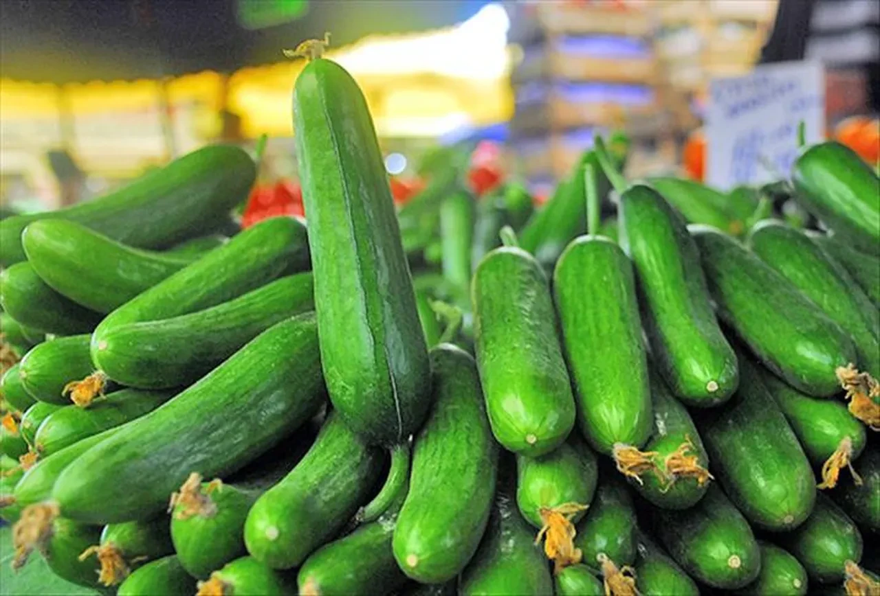 İstanbul’da Mart ayında en çok patlıcan pahalandı 