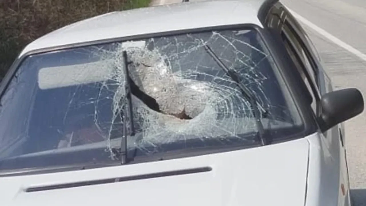 İzmit’te dehşet veren kaza: Kamyondan fırlayan kütük otomobile ok gibi saplandı