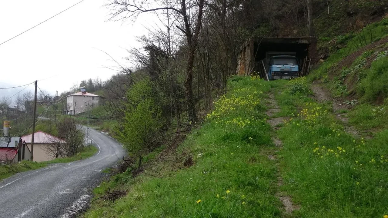 Değeri parayla ölçülmüyor! Yarım asırlık kamyonu yerinden kıpırdatmadı: Sırrı ardındaki duygusal bağda gizli