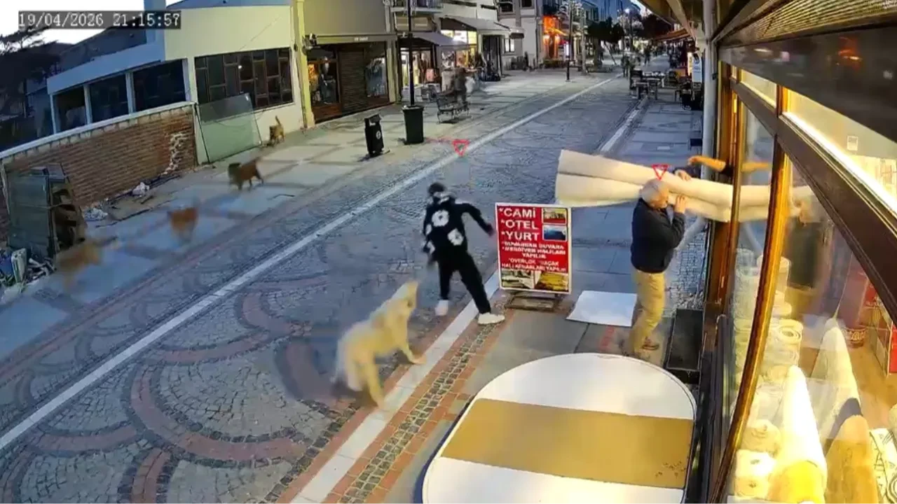 Edirne'de başıboş köpek dehşeti: 19 yaşındaki genç yaralandı