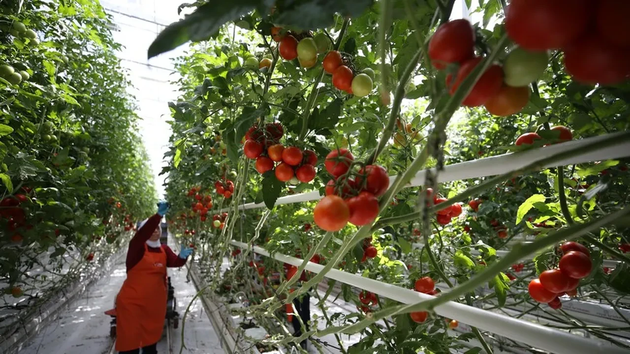 Marmara'da 11 illik kalkınma hamlesi! işte şehir şehir verilecek destekler