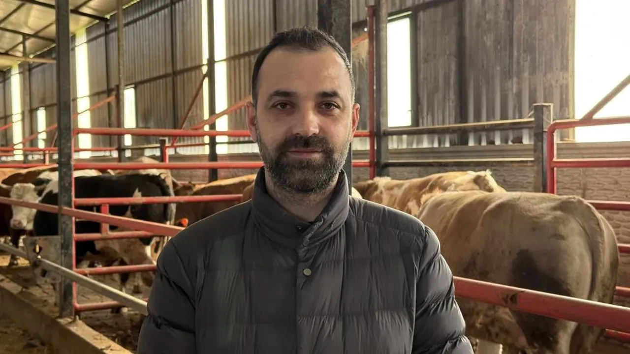 Satışa çıkarılan 1,5 tonluk dev tosun için istenen rakam dudak uçuklattı! 'Gözümde değeri çok daha fazla'