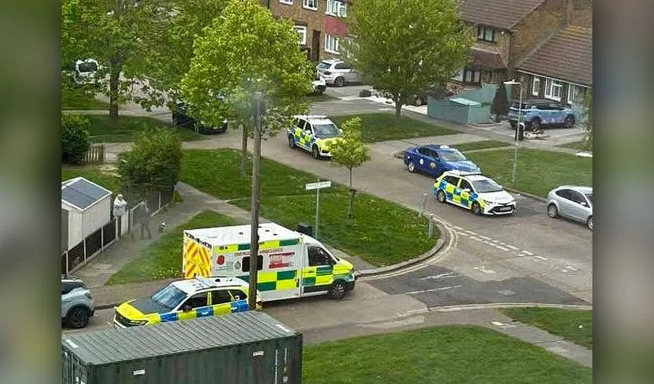 Silah sesleri, 'vuruldum' çığlığı! Polisleri harekete geçiren olay bir 'oyun' çıktı