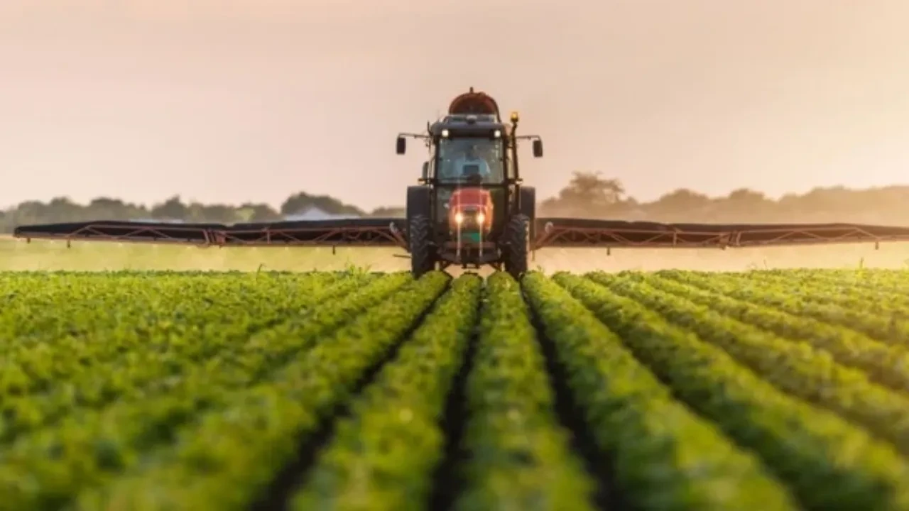 Tarım-GFE yıllık yüzde 31,55 arttı