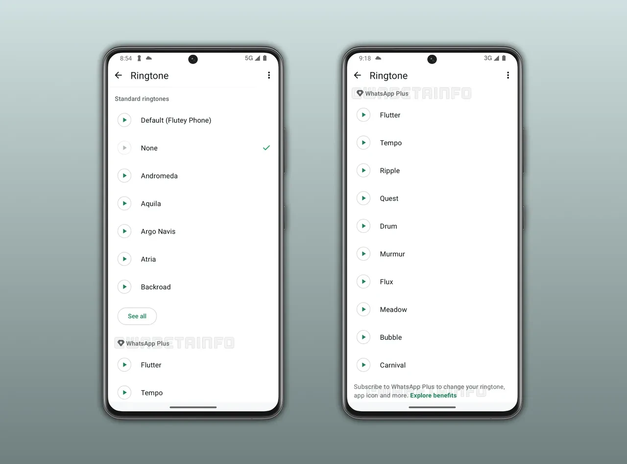 WhatsApp Plus özellikleri ve muhtemel Türkiye fiyatı belli oldu