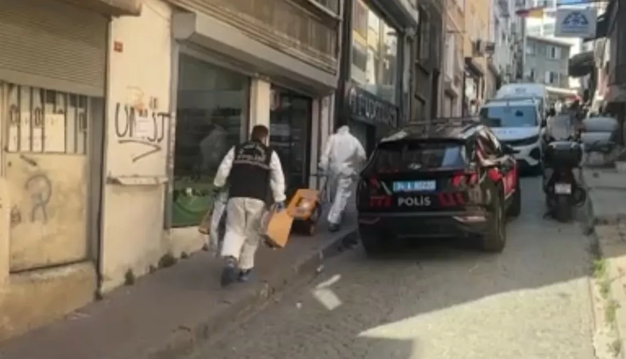 2. Böcek Ailesi vakası! İstanbul'da Hollandalı kardeşlerin ölüm nedeni belli oldu