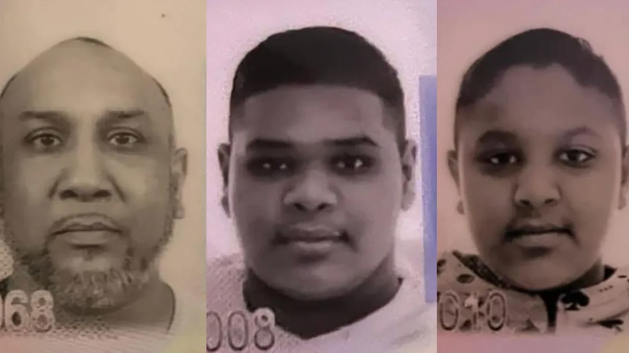 2. Böcek Ailesi vakası! İstanbul'da Hollandalı kardeşlerin ölüm nedeni belli oldu