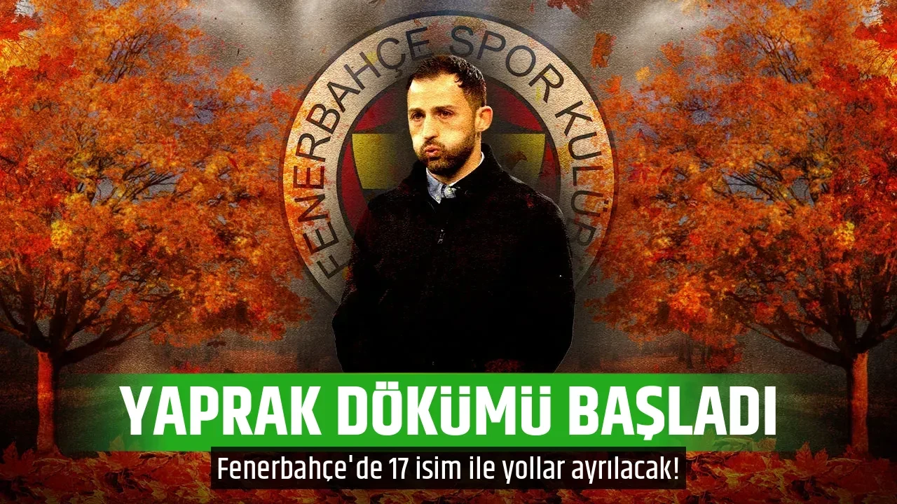 YAPRAK DÖKÜMÜ BAŞLADI