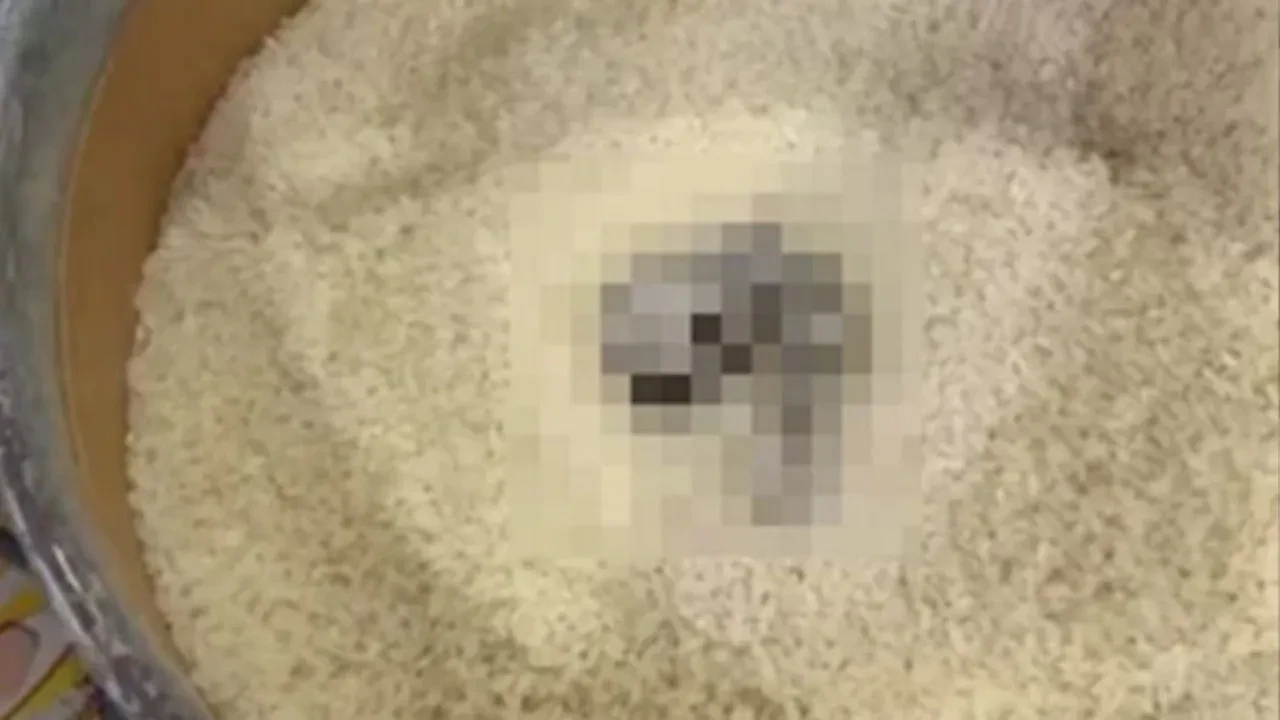 Market reyonunda skandal! Açıkta satılan pirinçten çıkanlar mide bulandırdı