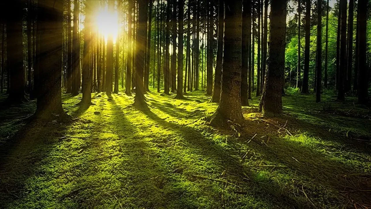 Marmara’da "Yerel kalkınma" devrimi: 11 il yükselişe geçiyor