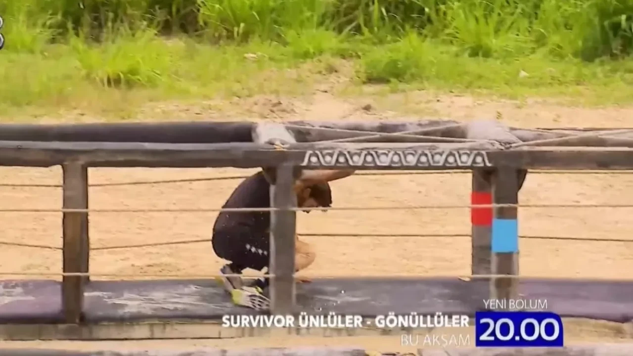 survivor 2026
