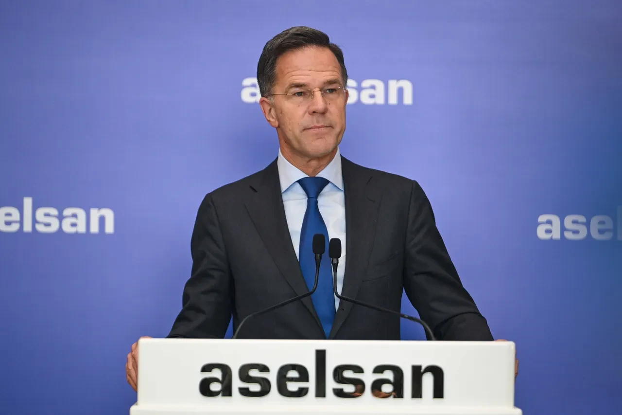 Cumhurbaşkanı Erdoğan, NATO Genel Sekreteri Rutte'yi kabul etti