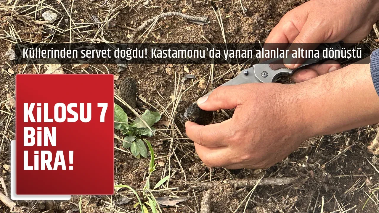 KİLOSU 7 BİN LİRA!