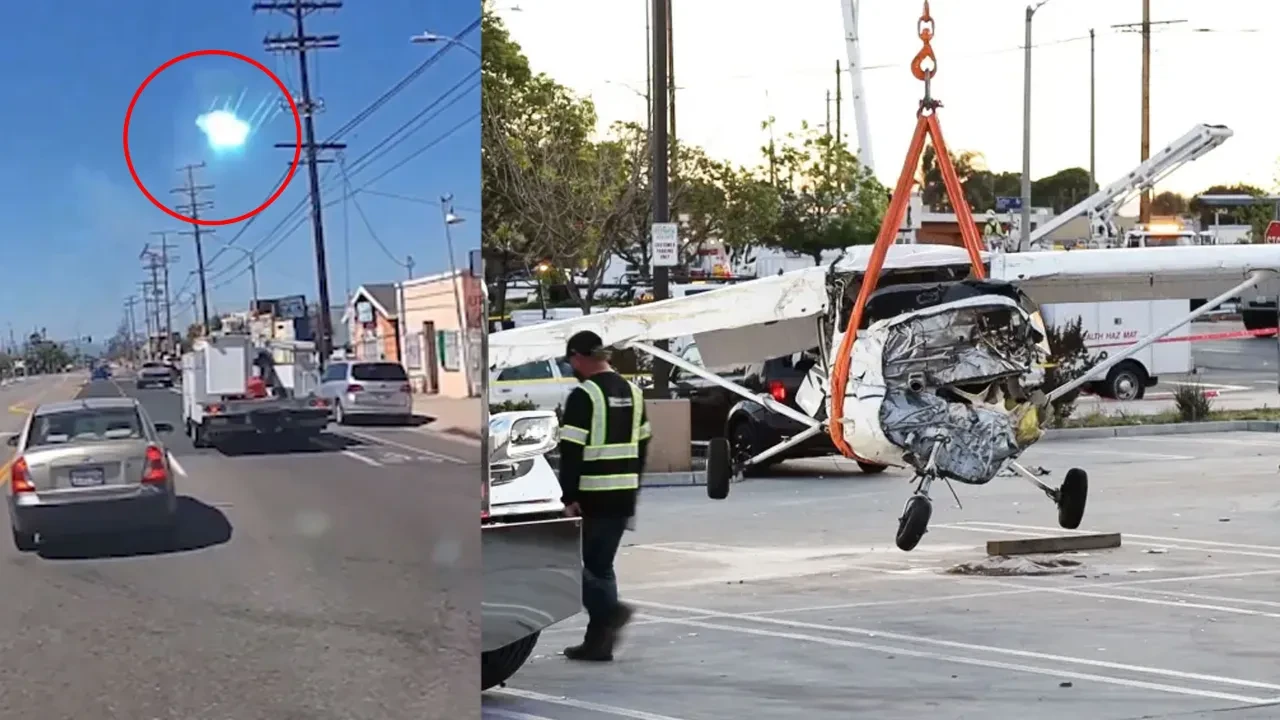 Uçak alçak irtifada uçarken elektrik hatlarına çarpıp düştü