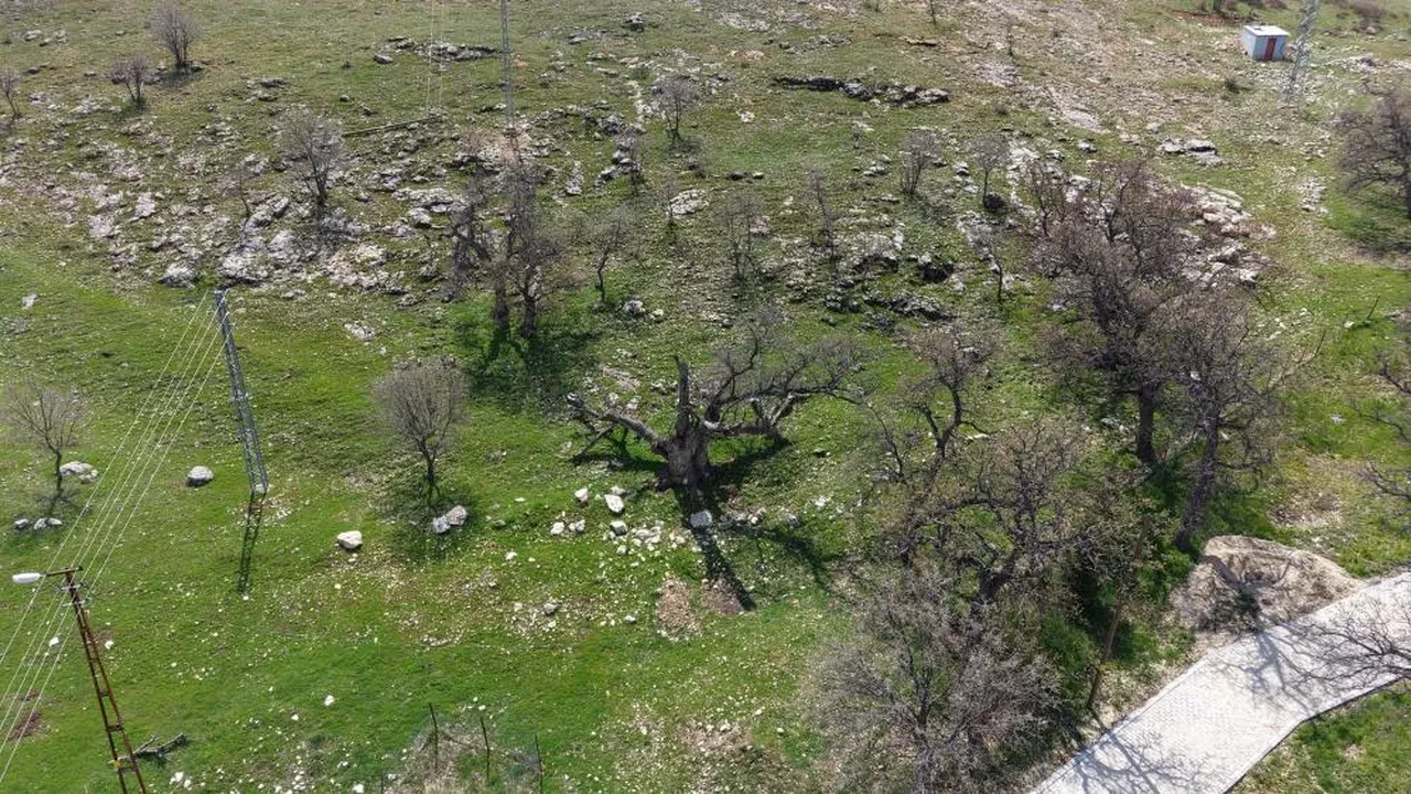 Gülistan Doku'nun ilk gömüldüğü iddiaya edilen yer havadan görüntülendi 