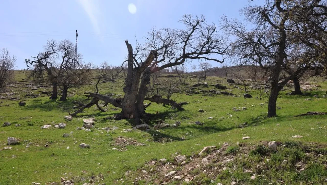 Gülistan Doku'nun ilk gömüldüğü iddiaya edilen yer havadan görüntülendi 