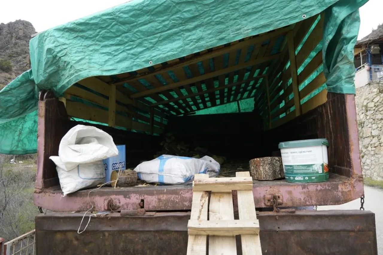 Gümüşhane hayalet kamyonu konuşuyor! İstanbul'a şoförsüz gidip ceza yedi