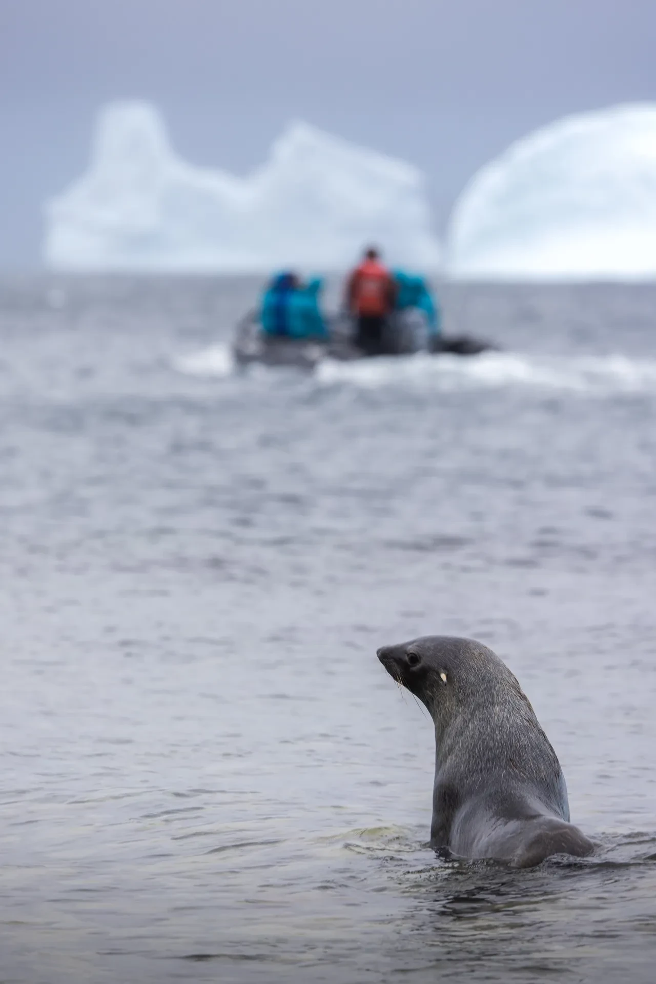 Güney Kutbu’na giden en genç Türk oldu! 7 yaşındaki Pars, özel izinle Antarktika’da 14 gün yaşadı