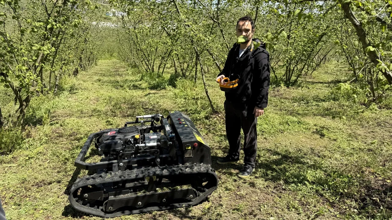 İki işçinin tam günlük mesaisini 3 saate düşürdü: Fındık bahçelerinde yeni dönem