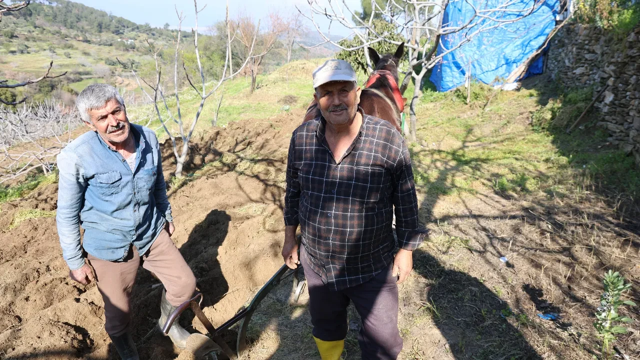 Köyün en genci 50 yaşında: Aydın’da tarla ve bahçelerde çalışacak genç bulunmuyor