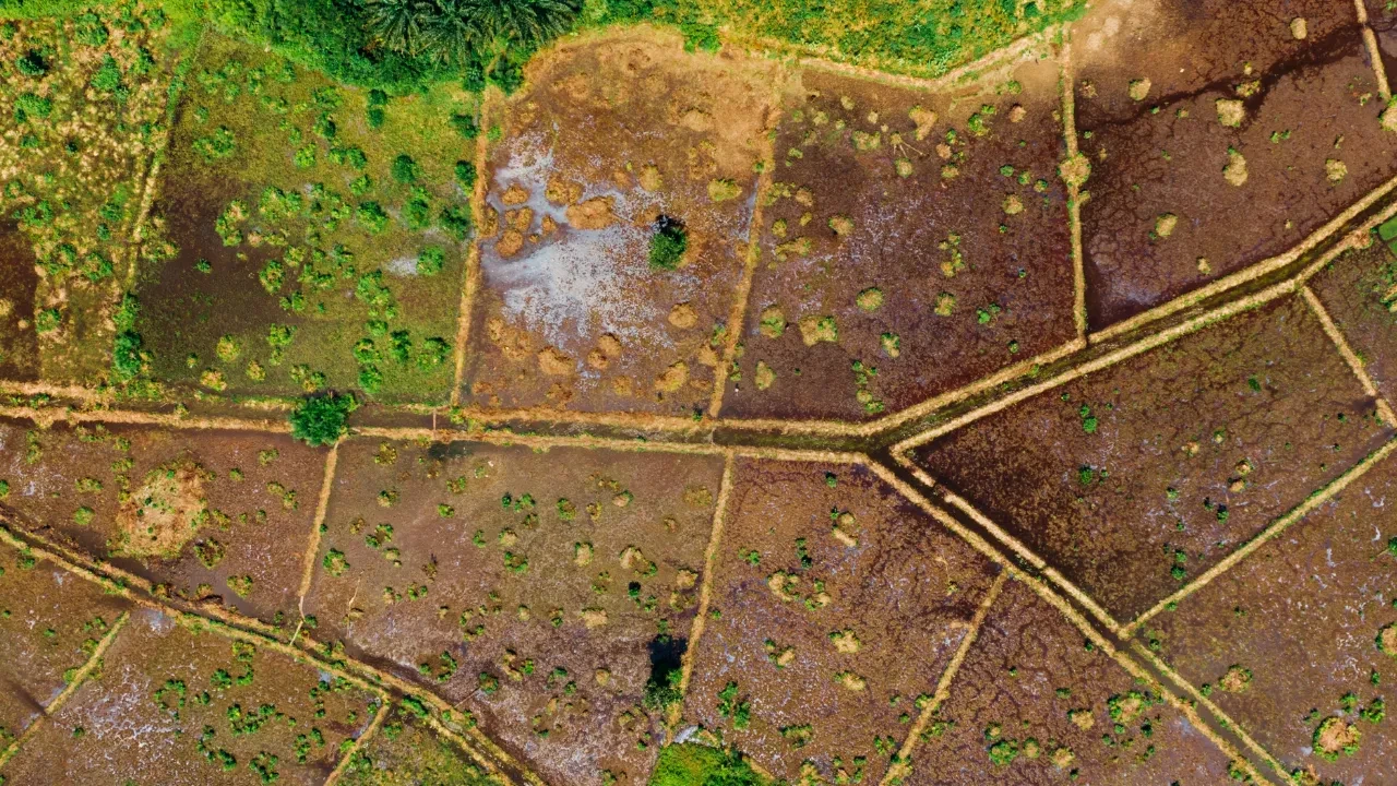 Arsa alacaklar ve hobi bahçesi olanlar dikkat! Selçuk Hiçdurmaz kritik bölgeleri tek tek açıkladı