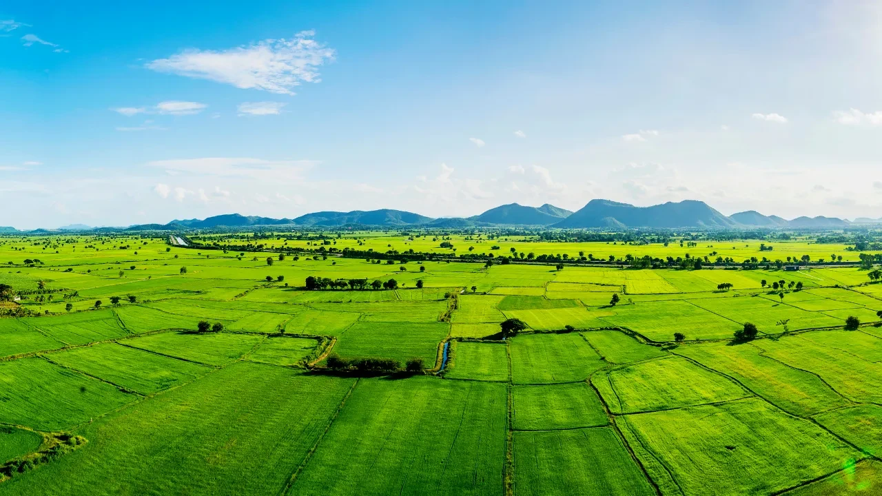 Arsa alacaklar ve hobi bahçesi olanlar dikkat! Selçuk Hiçdurmaz kritik bölgeleri tek tek açıkladı