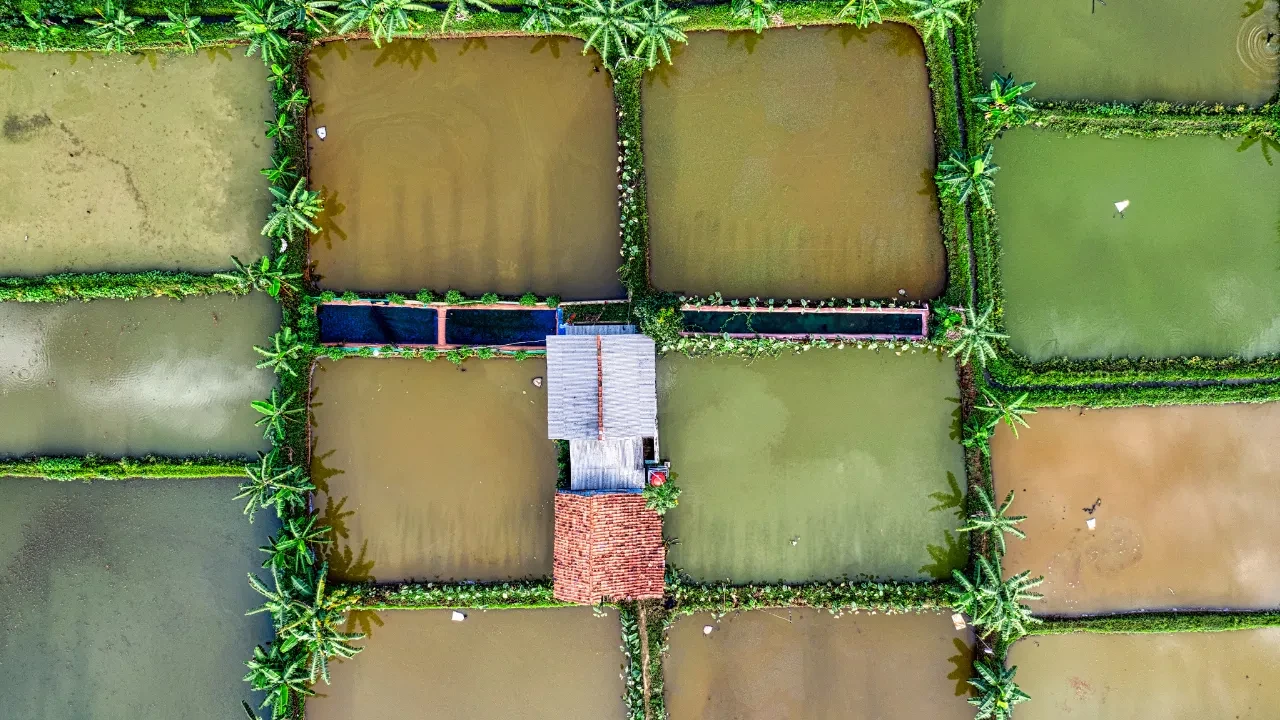 Arsa alacaklar ve hobi bahçesi olanlar dikkat! Selçuk Hiçdurmaz kritik bölgeleri tek tek açıkladı