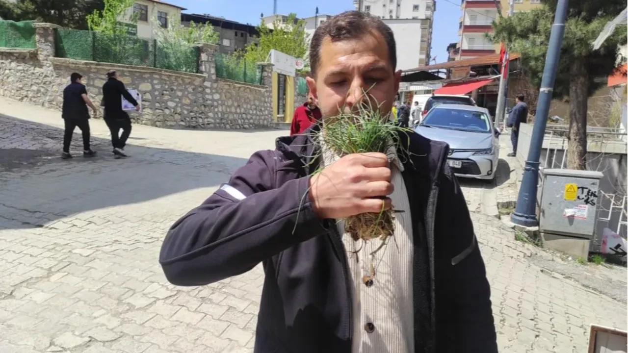 Bulan köşeyi dönüyor... Doğal hazine! Kilosu 15 bin TL'den satılıyor