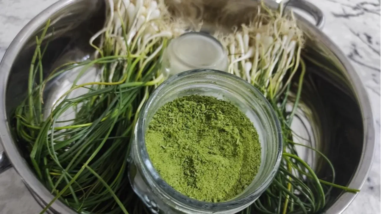 Bulan parayı da buluyor... Doğal hazine! Kilosu 15 bin TL'den satılıyor