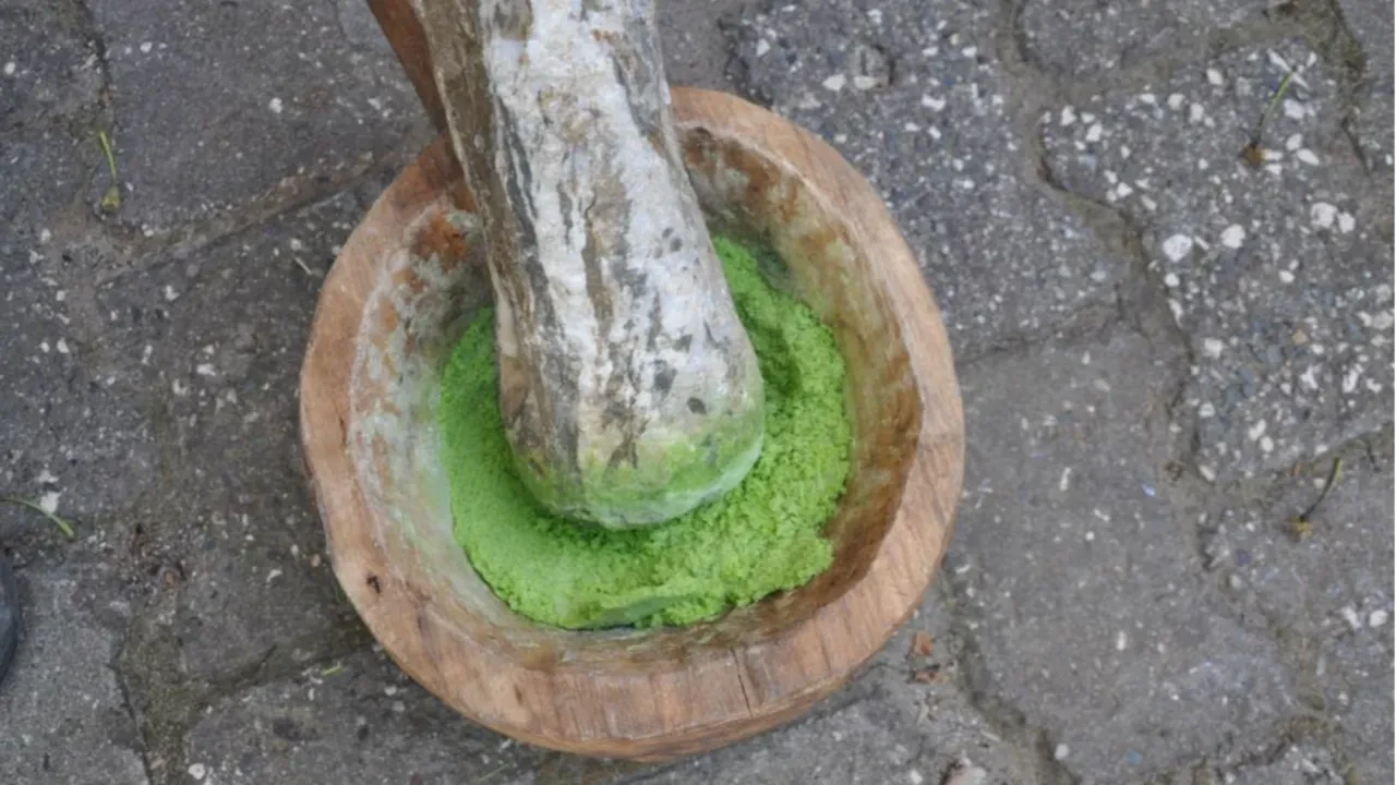 Bulan parayı da buluyor... Doğal hazine! Kilosu 15 bin TL'den satılıyor