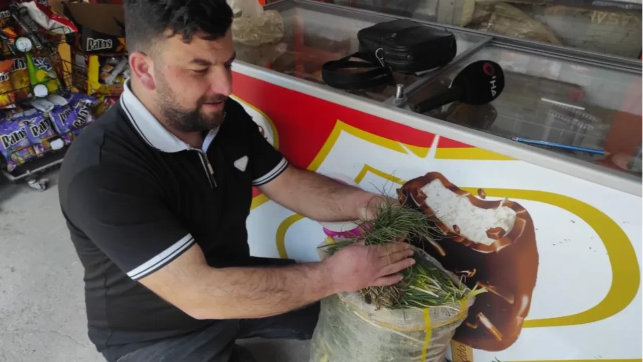 Bulan parayı da buluyor... Doğal hazine! Kilosu 15 bin TL'den satılıyor