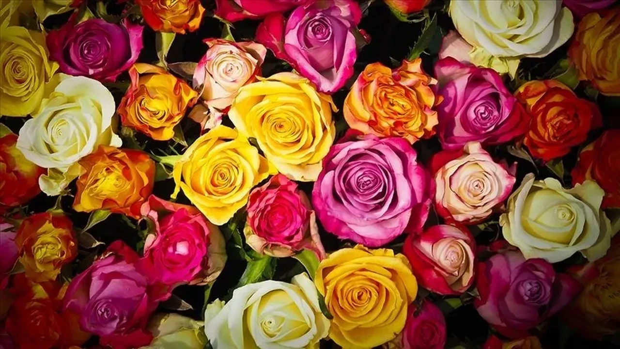 2026 Anneler Günü ne zaman hangi güne denk geliyor?