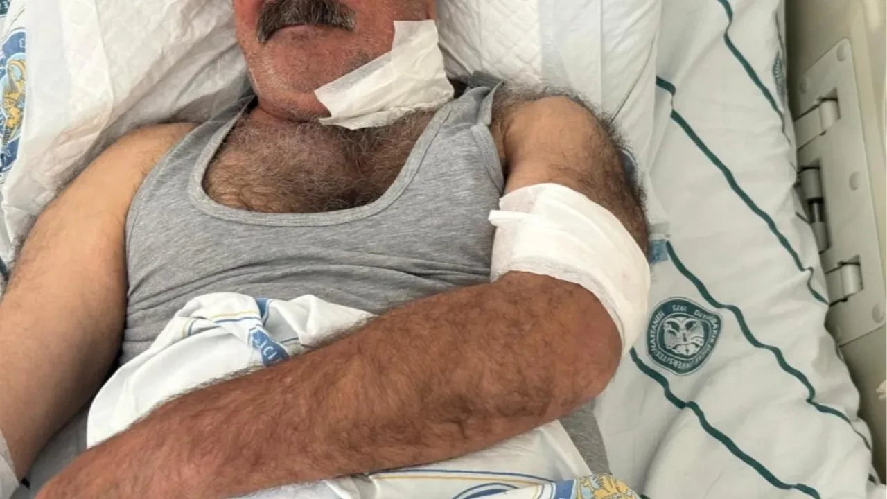 At sahibini boğazından ısırarak ağır yaraladı