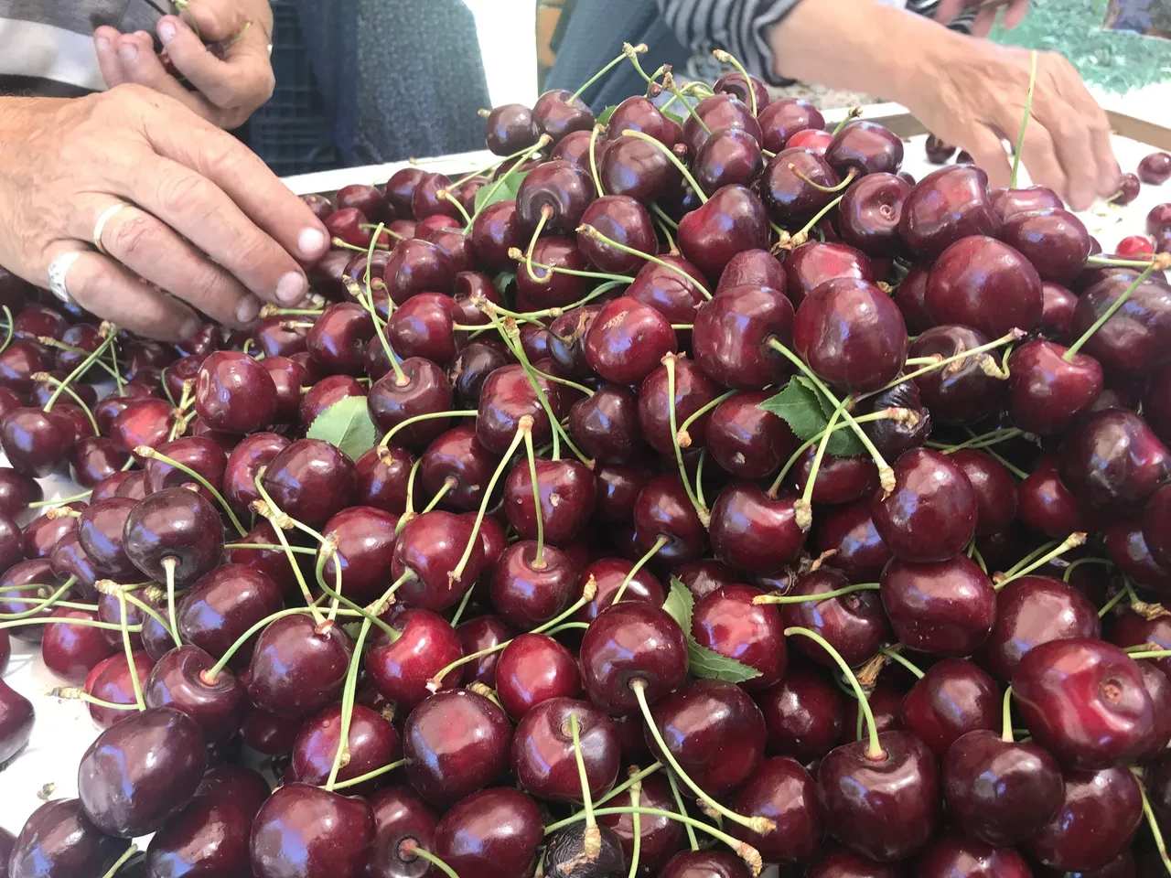 İsraf karnesi açıklandı: Günde 6 milyon ekmek, 30 bin ton sebze meyve çöpe atılıyor