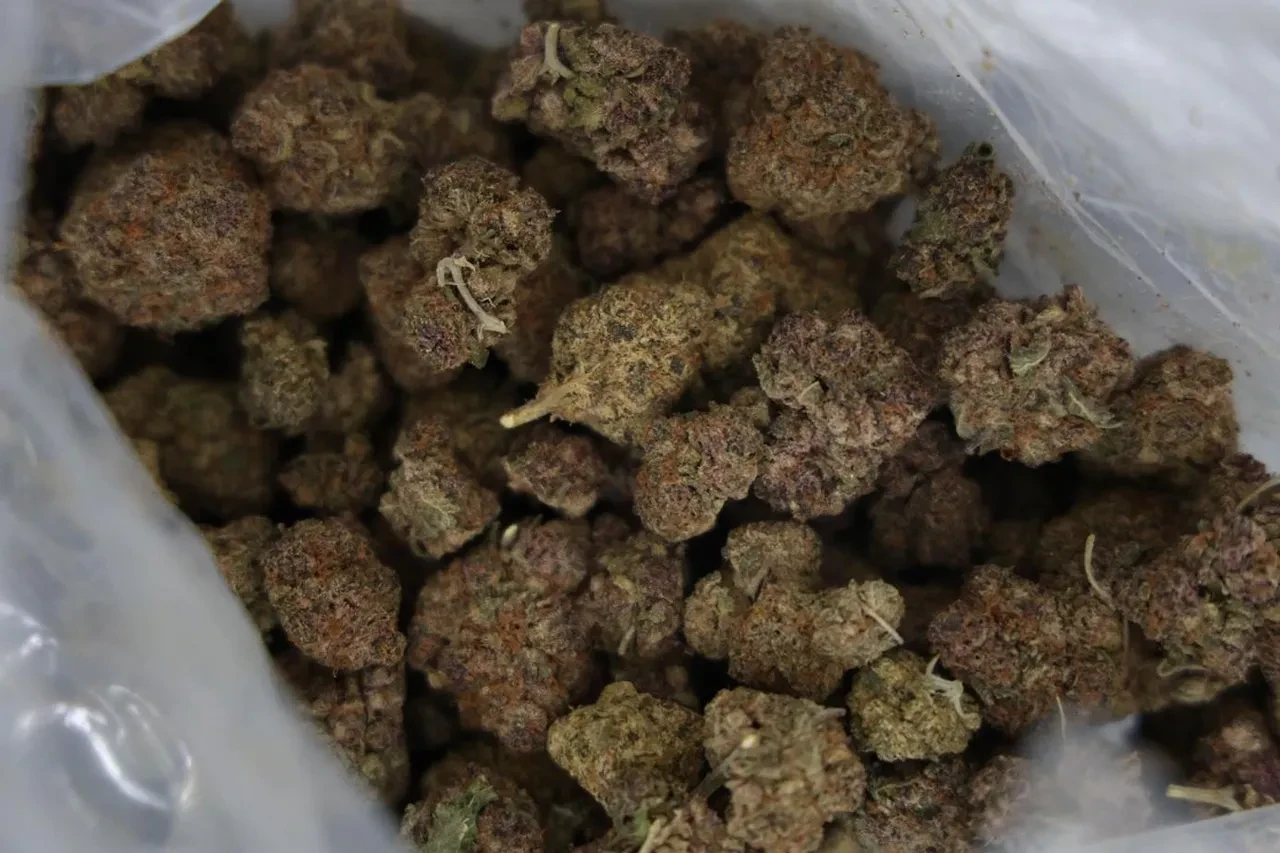 MİT’ten uluslararası uyuşturucu operasyonu! Kilolarca ele geçirildi: Değeri 300 Milyon TL 