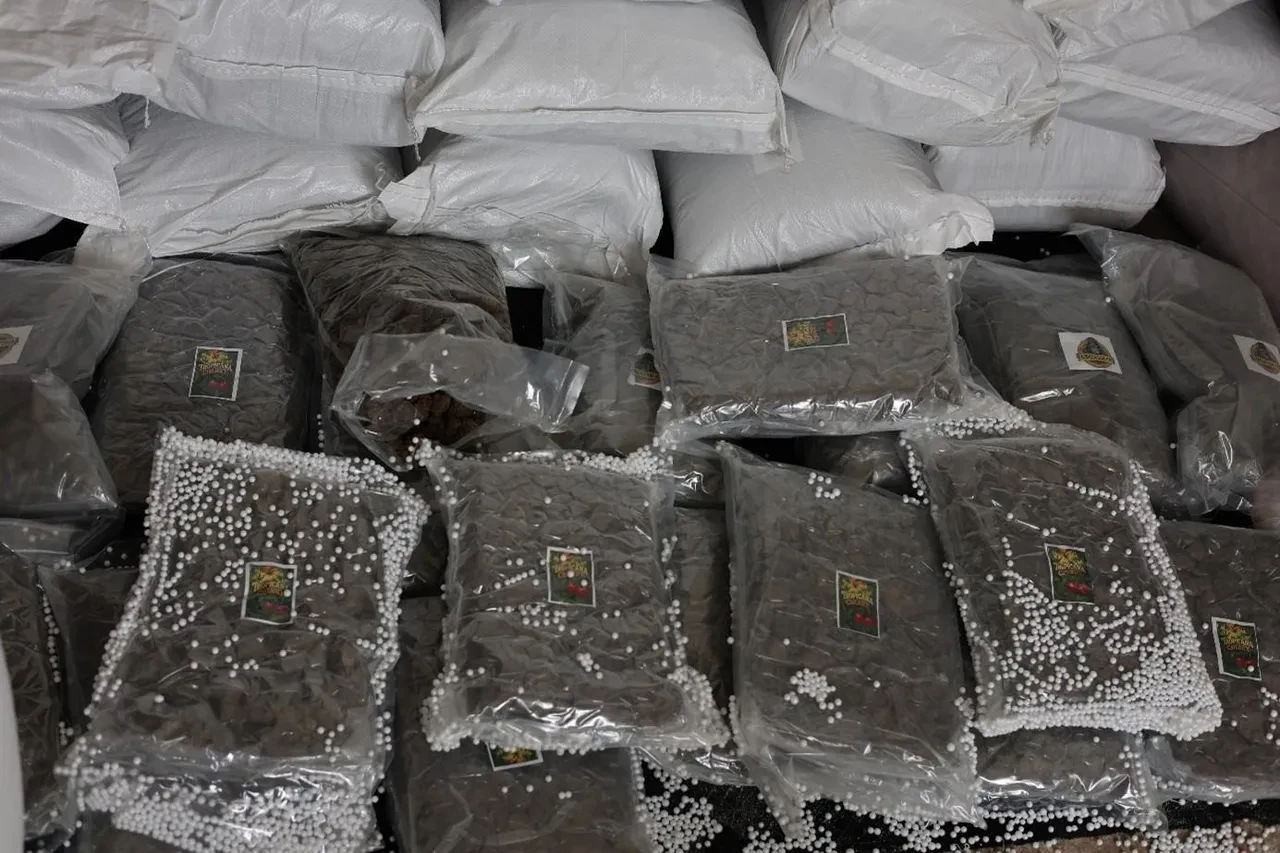 MİT’ten uluslararası uyuşturucu operasyonu! Kilolarca ele geçirildi: Değeri 300 Milyon TL 