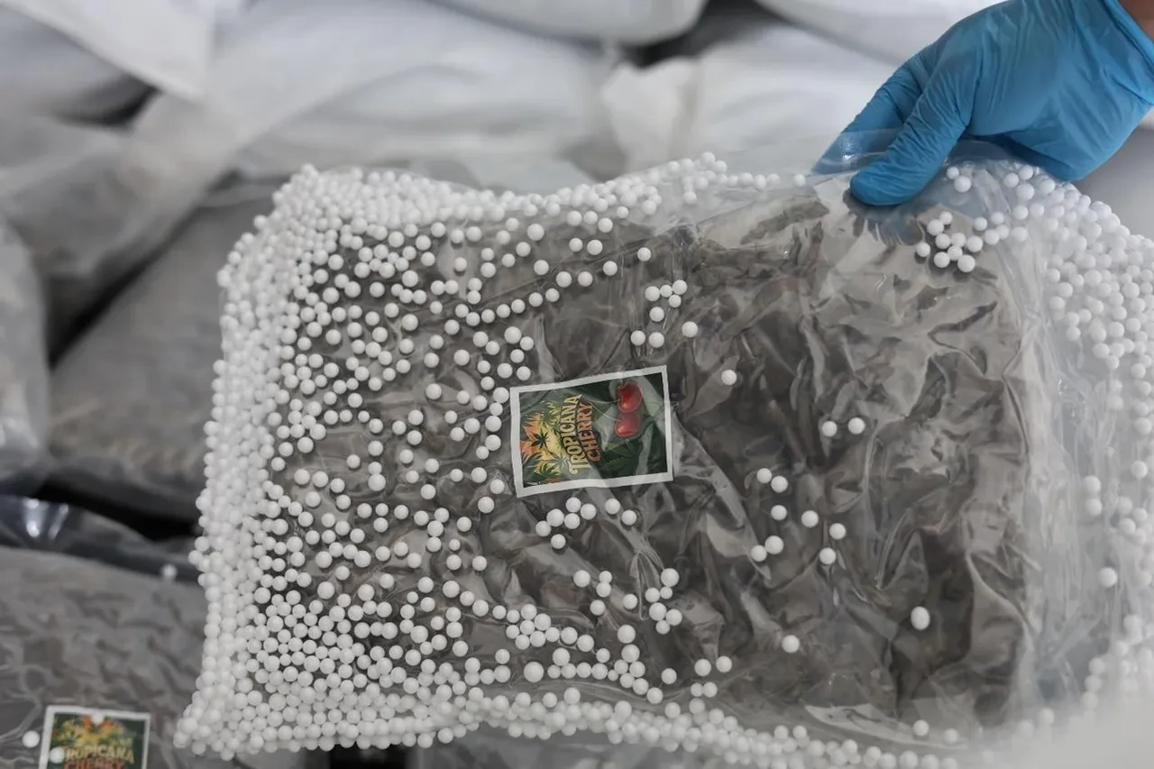 MİT’ten uluslararası uyuşturucu operasyonu! Kilolarca ele geçirildi: Değeri 300 Milyon TL 