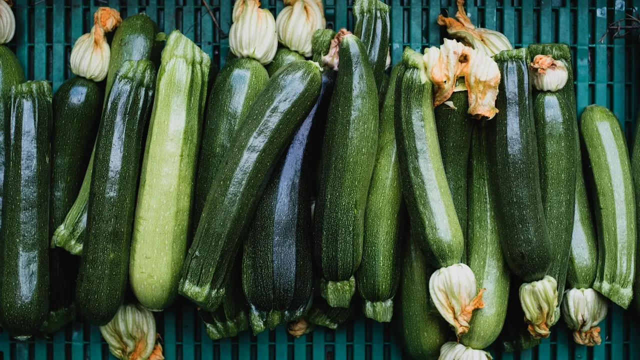 Dünyanın en iyi kabak yemekleri listelendi: Türk mutfağı bu sefer “Kabak” ile şampiyonlar listesine girdi