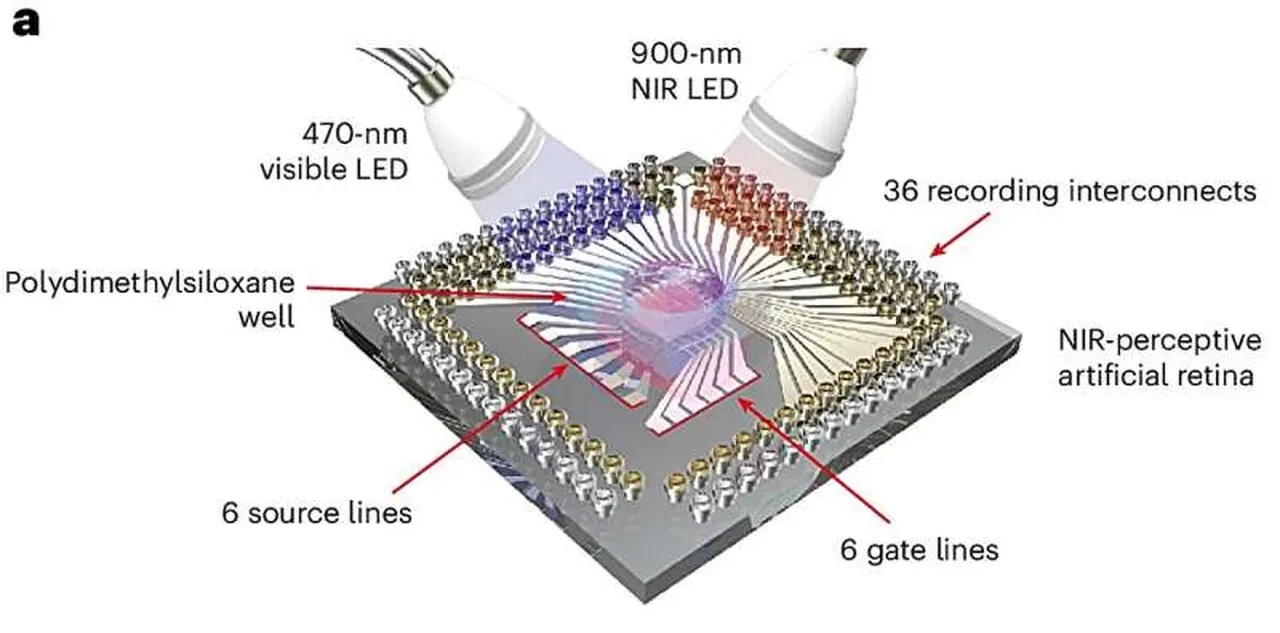 Görme bozukluğu, yeni yöntem sonrası tarihe karışabilir: Yapay retina geliştirildi