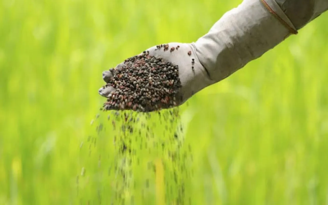 Gübre fiyatlarında savaş baskısı: Gıda enflasyonunda yeni dalga endişesi