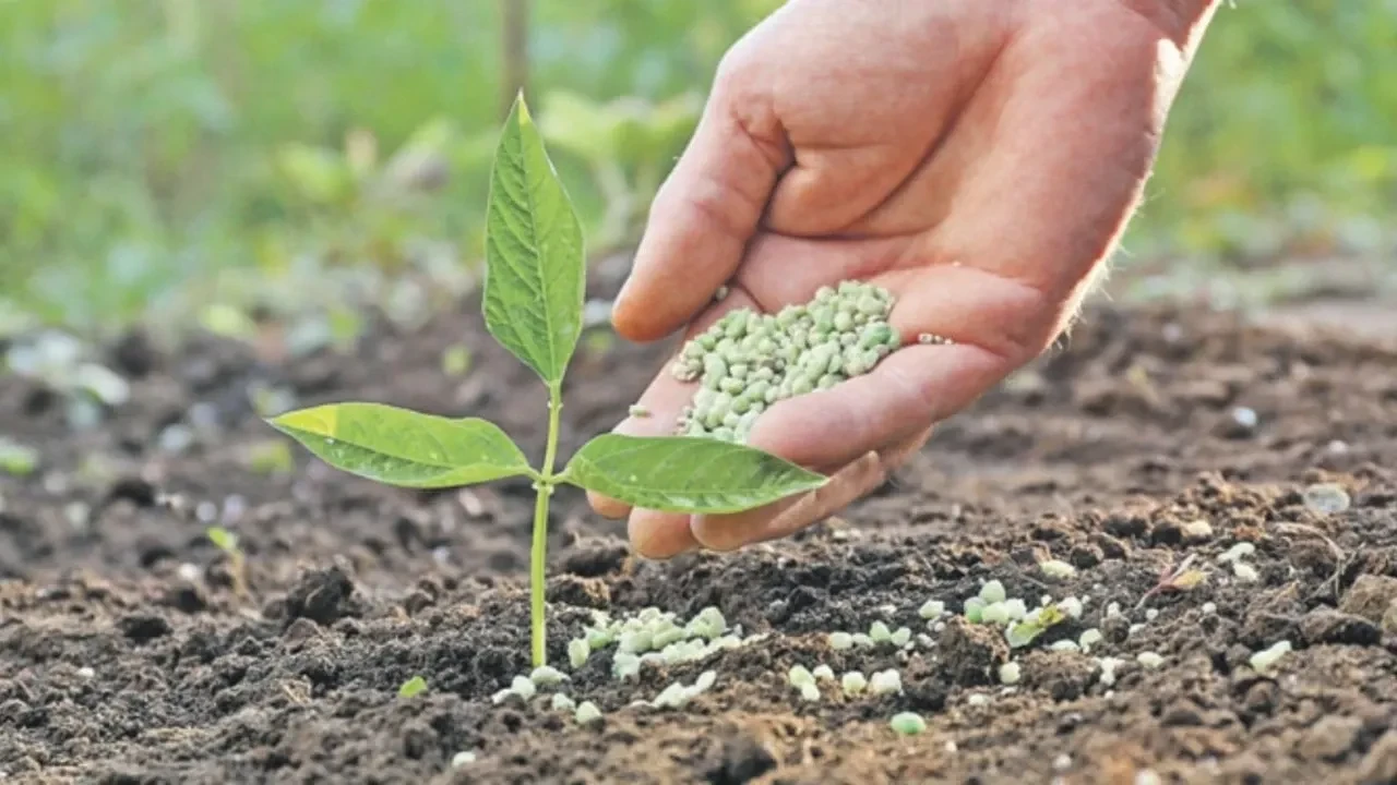 Gübre fiyatlarında savaş baskısı: Gıda enflasyonunda yeni dalga endişesi