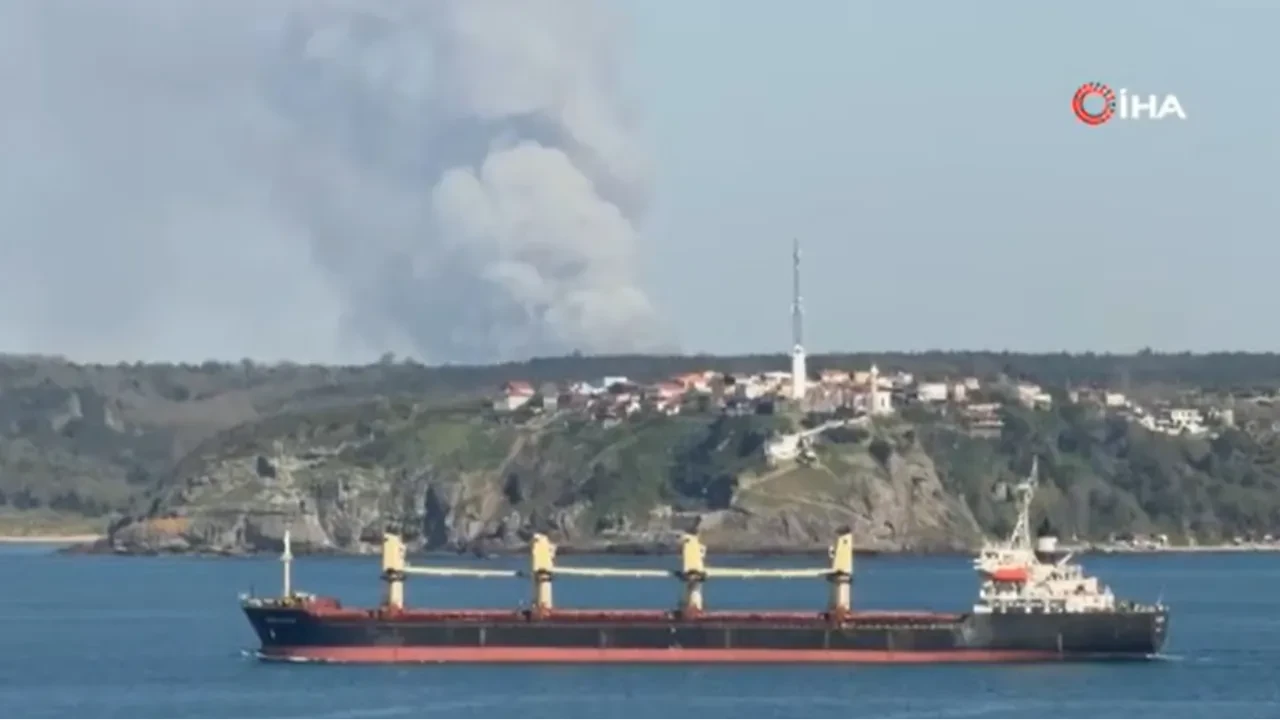 İstanbul Beykoz'da korkutan yangın