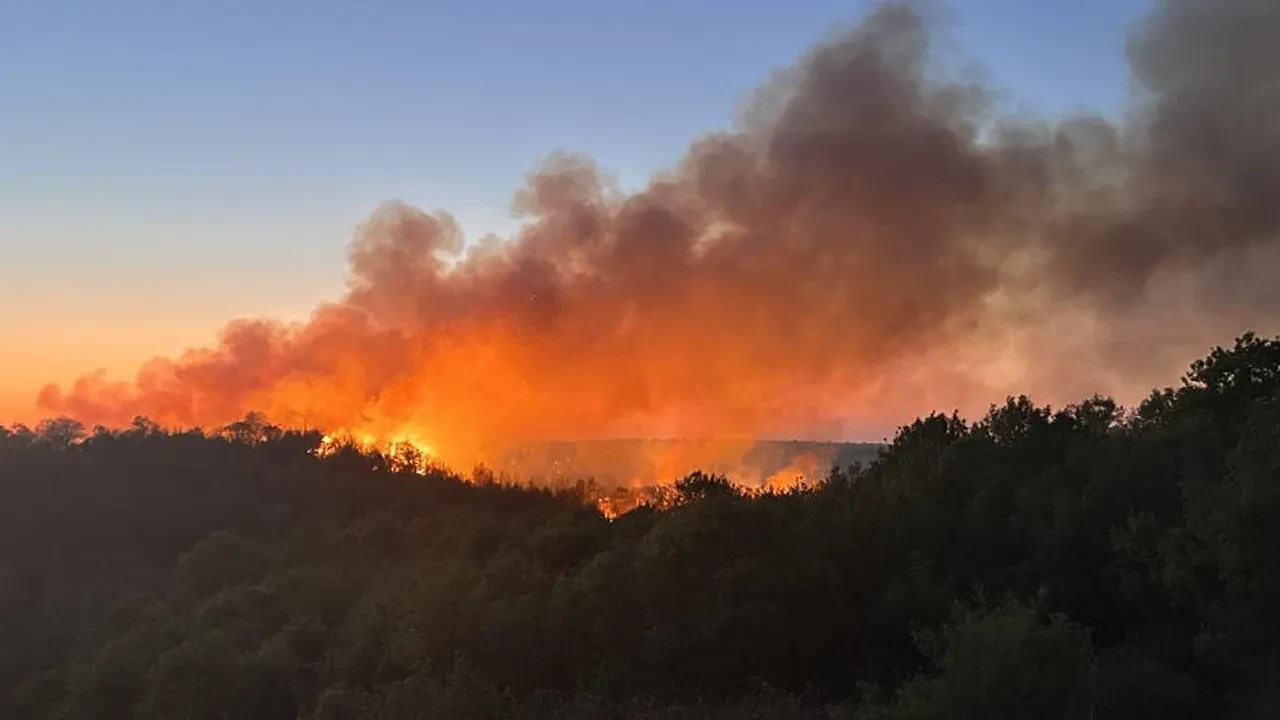 İstanbul Beykoz'da korkutan yangın! Saatlerdir mücadele ediliyor
