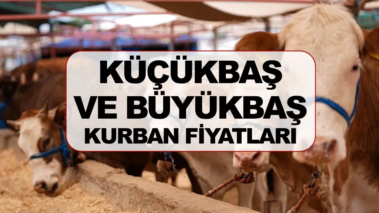 Kurbanlık fiyatları hisse bedeli 2026 kaç liradan başlıyor?