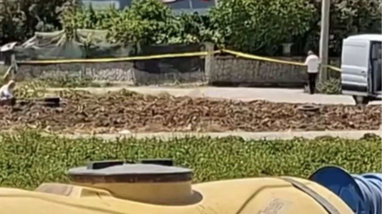 Sarımsak tarlasında bomba ihbarı! Ekipler harekete geçti