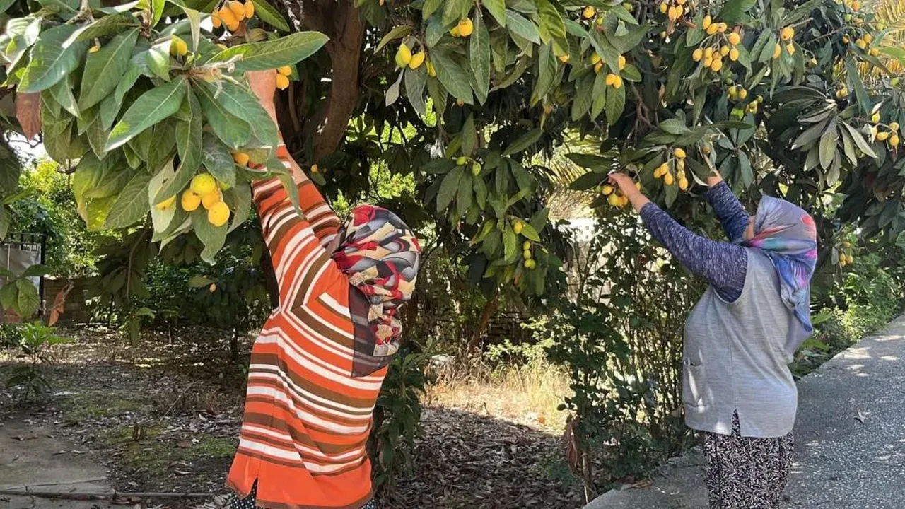 Sosyal medyadan duyuru yapıp bedava dağıttı! Poşetini alan o adrese koştu!