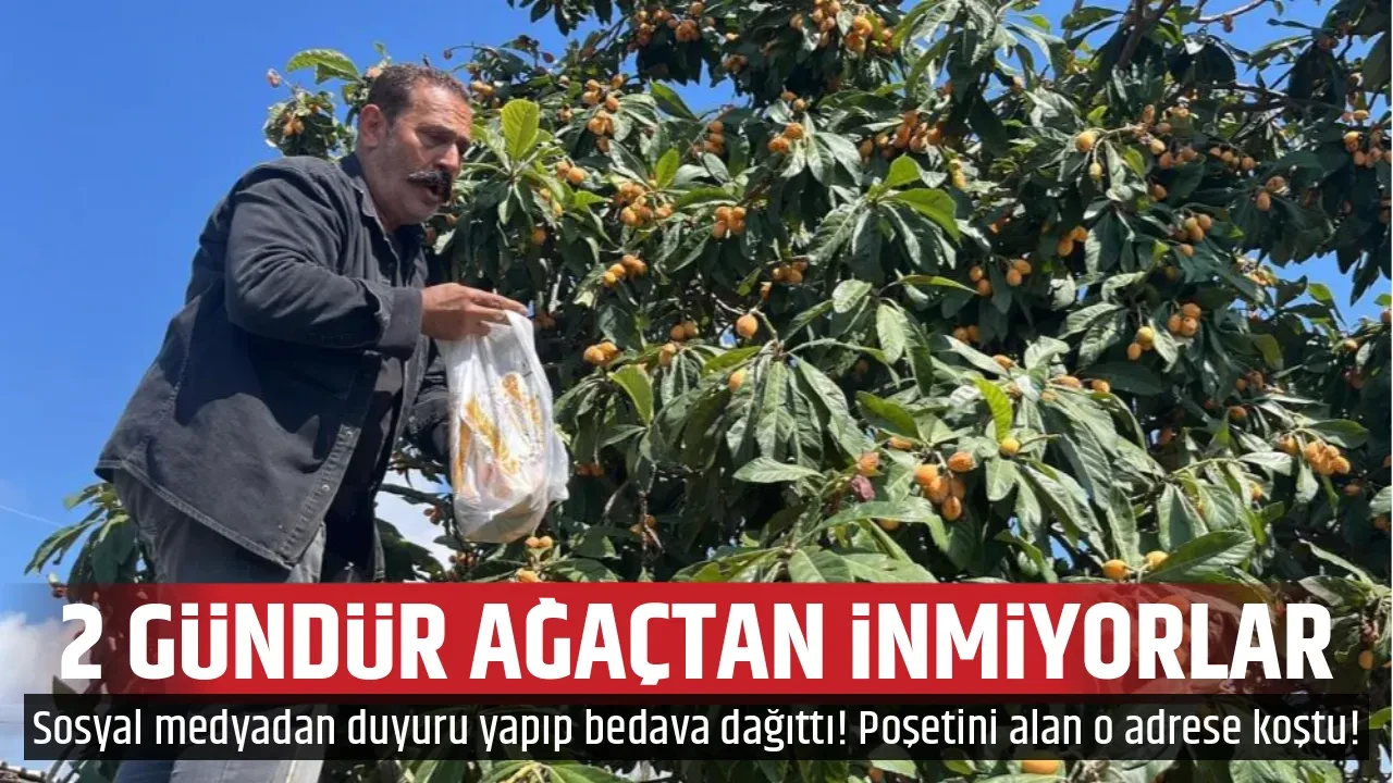 2 GÜNDÜR AĞAÇTAN İNMİYORLAR