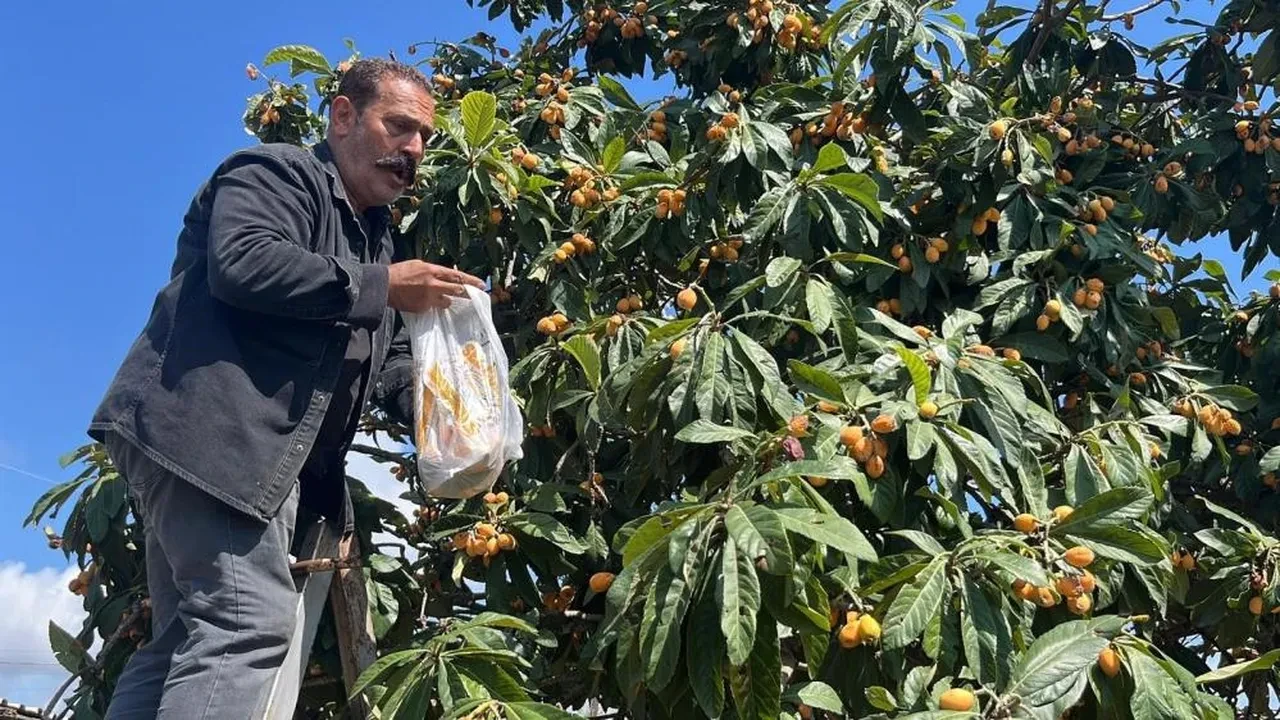 Sosyal medyadan duyuru yapıp bedava dağıttı! Poşetini alan o adrese koştu!